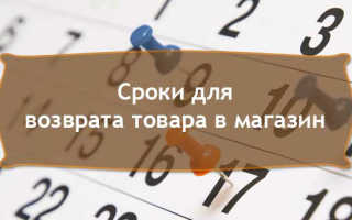 Изображение В течении какого времени можно вернуть товар Картинка В течении какого времени можно вернуть товар